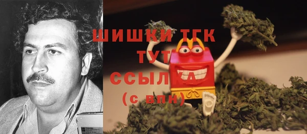 бошки Козельск