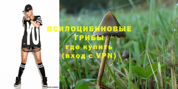 бошки Козельск