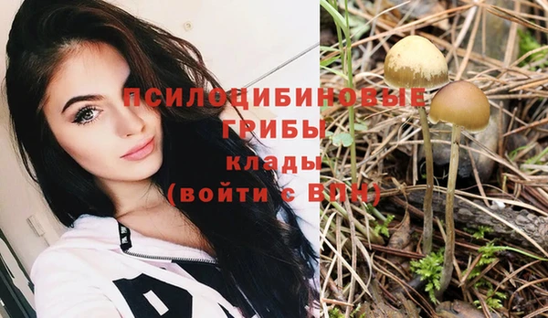 кокс Кодинск
